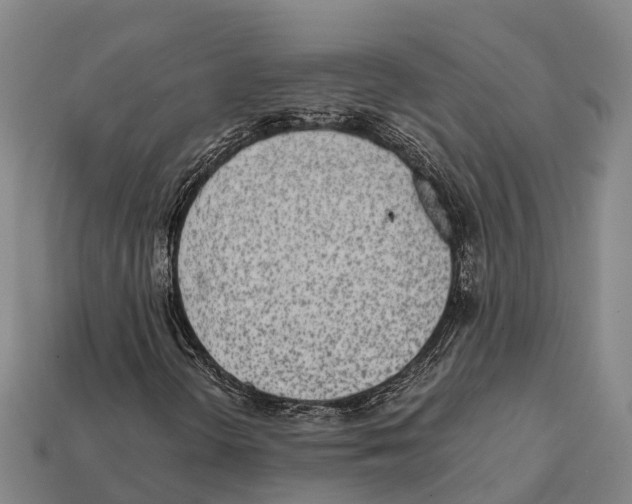 X0000111921298200909071209