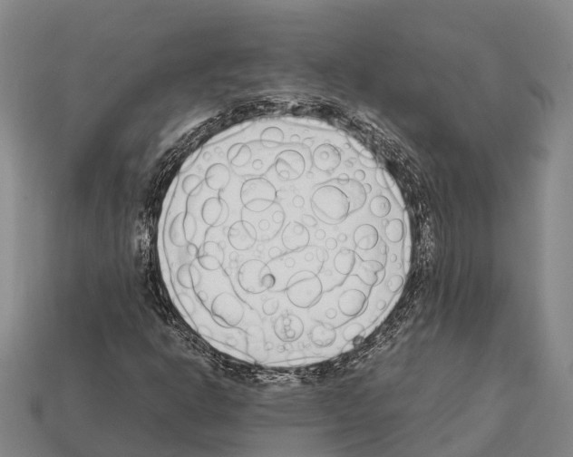 X0000111921302200909071209