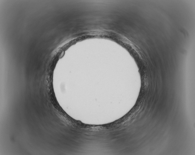 X0000111921304200909071209