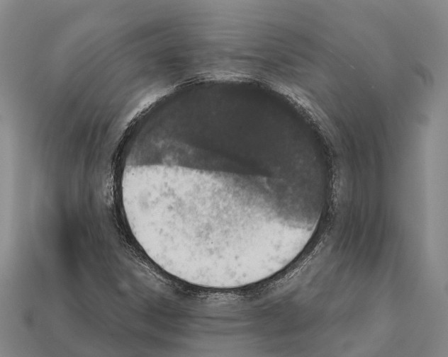 X0000111921306200909071209