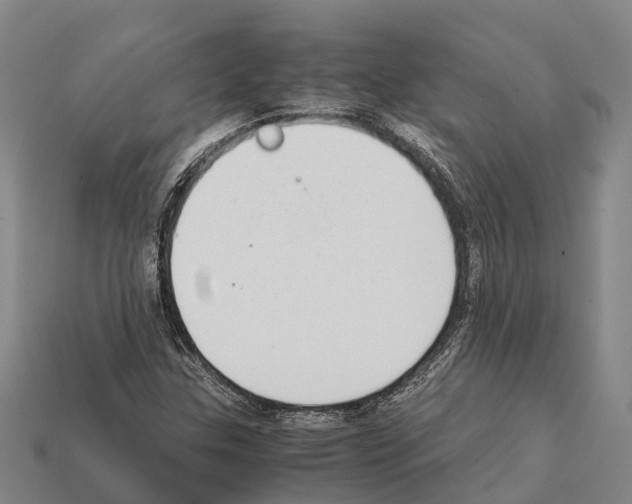 X0000111921307200909071209