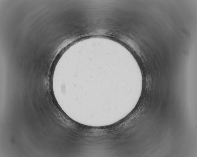 X0000111921308200909071209