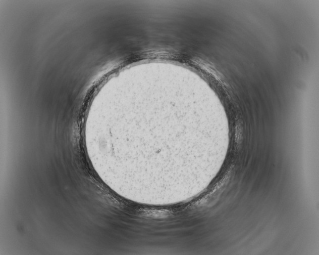 X0000111921309200909071209