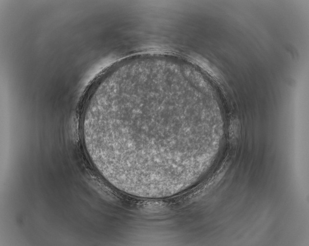 X0000111921310200909071209