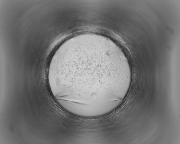 X0000111921312200909071209