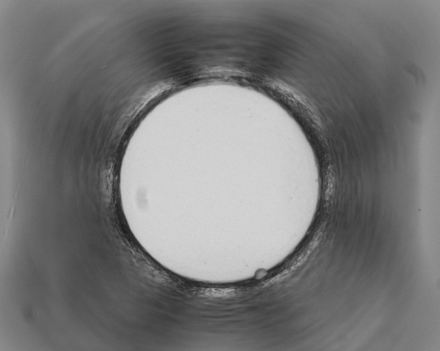 X0000111921313200909071209