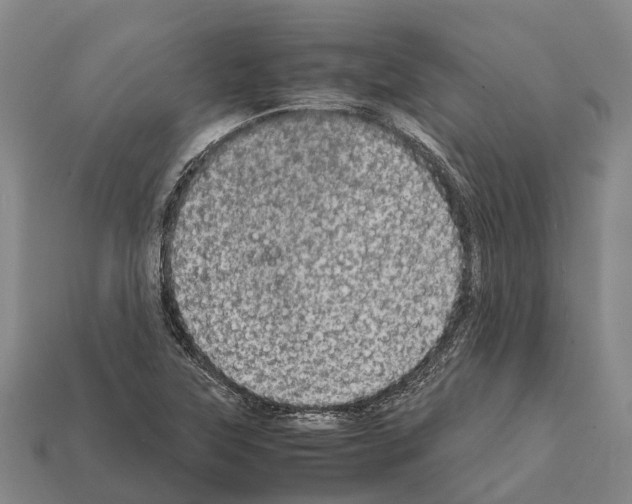 X0000111921315200909071209