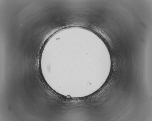 X0000111921316200909071209