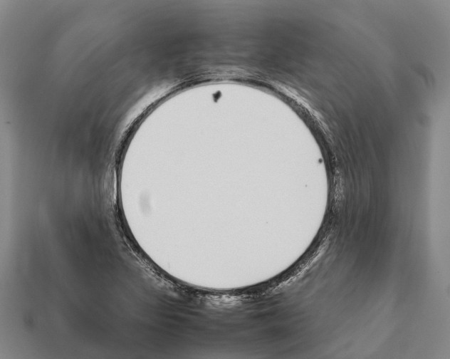 X0000111921317200909071209