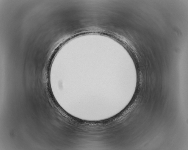 X0000111921318200909071209