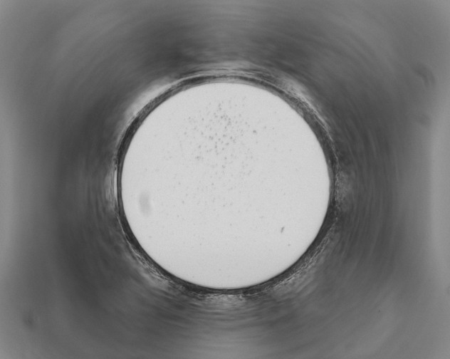 X0000111921320200909071209