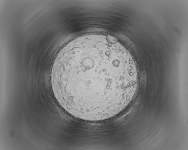 X0000111921321200909071209