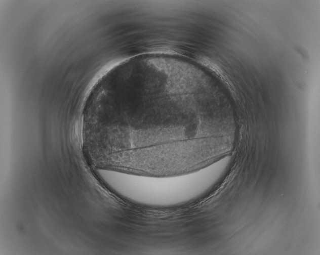 X0000111921323200909071209