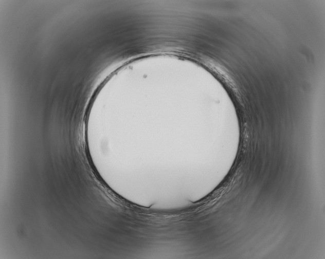 X0000111921324200909071209