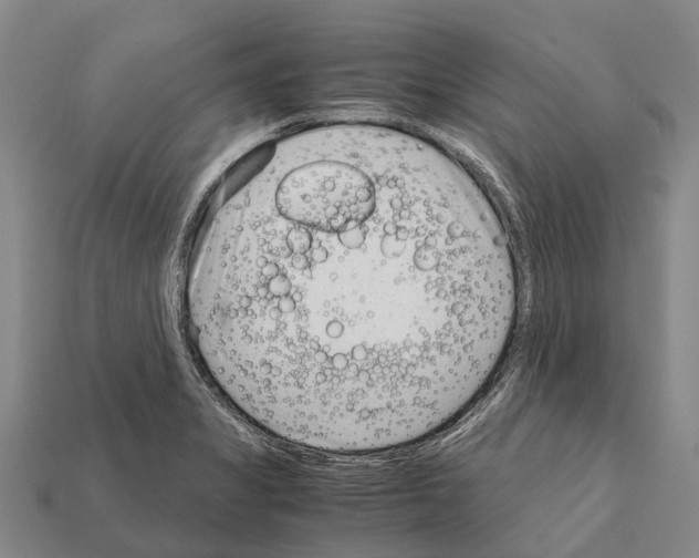 X0000111921325200909071209