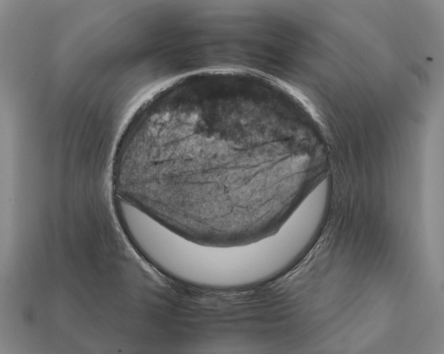 X0000111921327200909071209