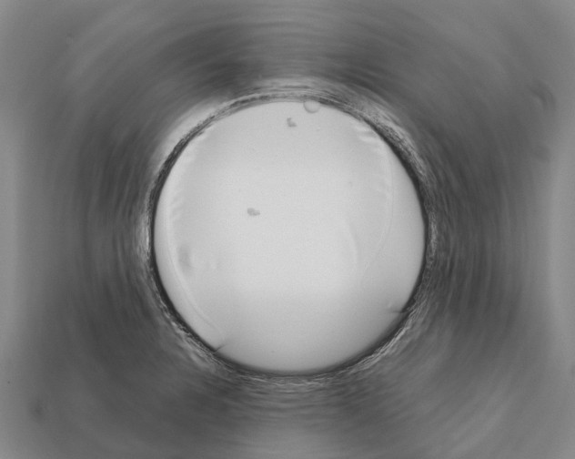 X0000111921328200909071209