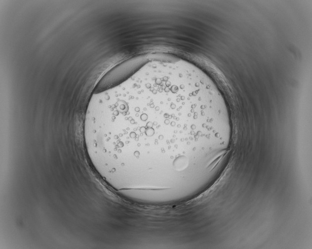 X0000111921329200909071209