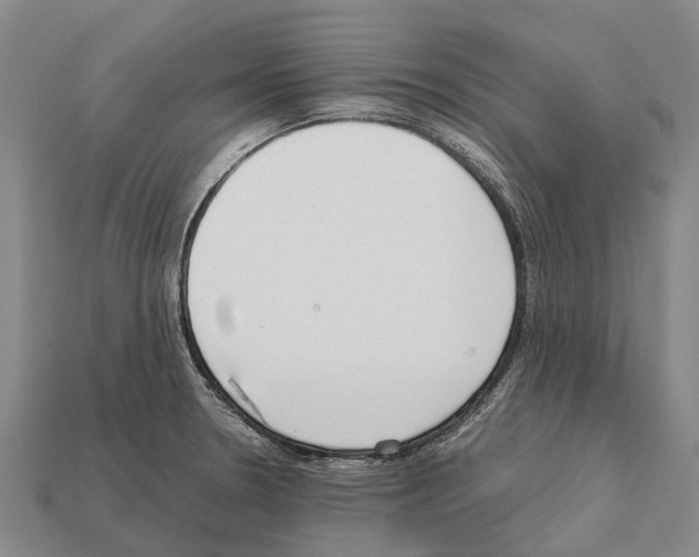 X0000111921330200909071209