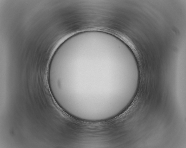 X0000111921332200909071209