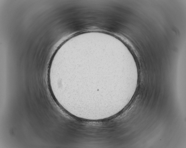 X0000111921333200909071209