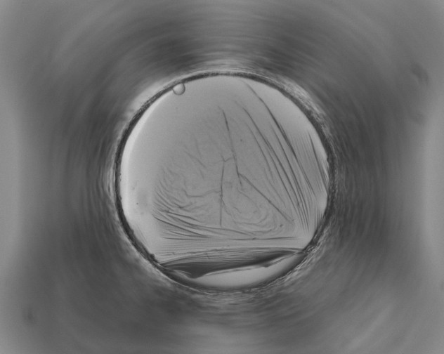 X0000111921334200909071209