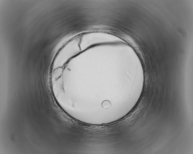 X0000111921336200909071209