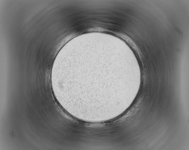 X0000111921337200909071209