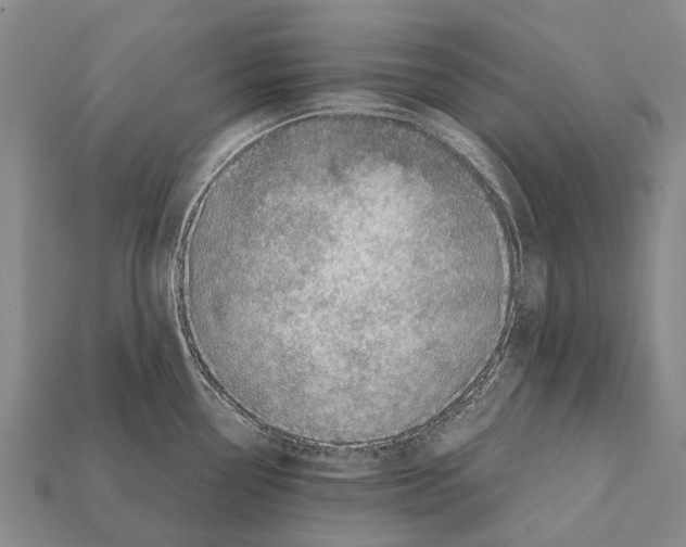 X0000111921338200909071209