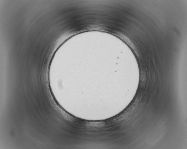 X0000111921339200909071209