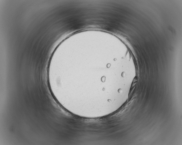 X0000111921341200909071209