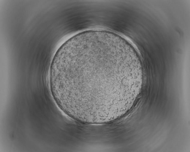 X0000111921343200909071209