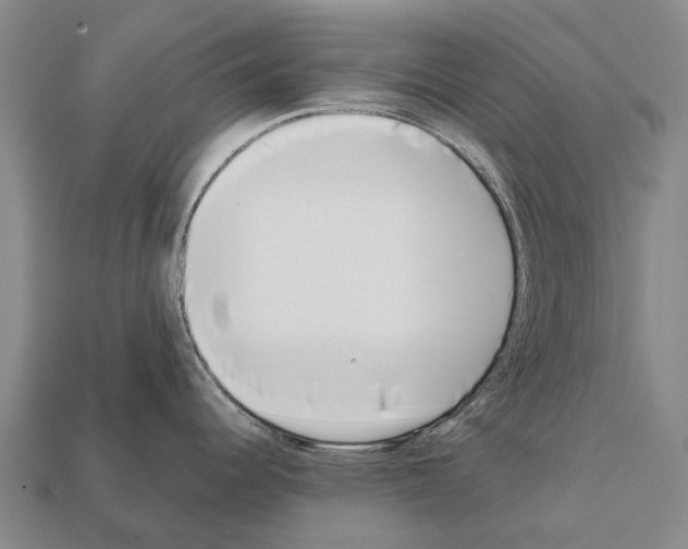 X0000111921344200909071209