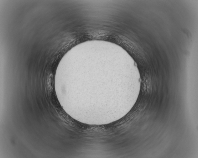 X0000111921346200909071209