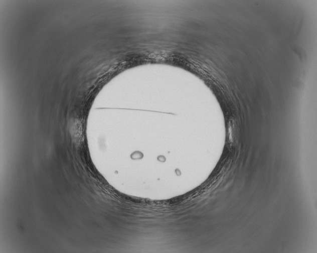 X0000111921347200909071209