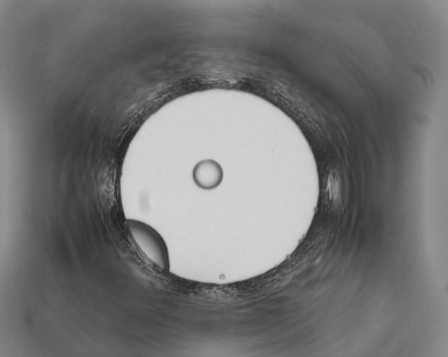 X0000111921348200909071209