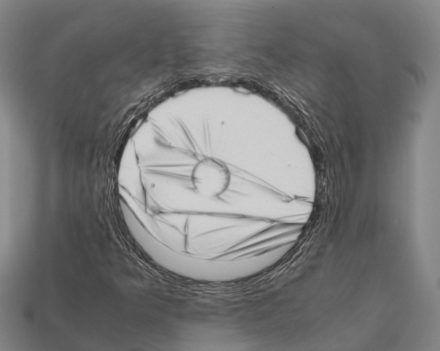 X0000111921349200909071209