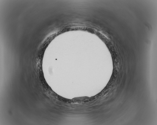 X0000111921351200909071209