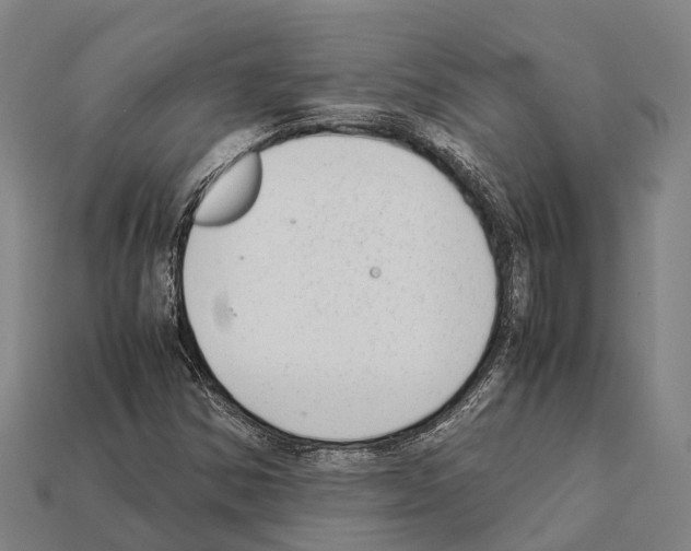 X0000111921354200909071209