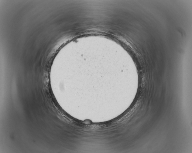 X0000111921355200909071209