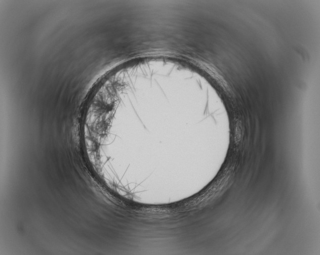 X0000111921356200909071209