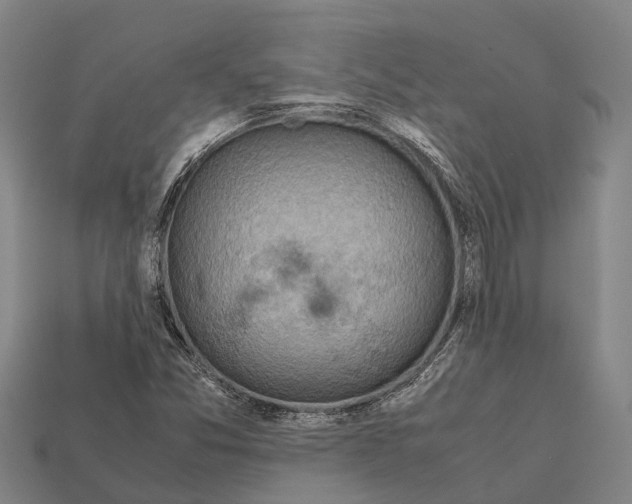 X0000111921357200909071209