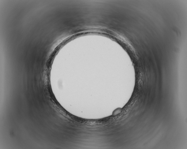 X0000111921360200909071209