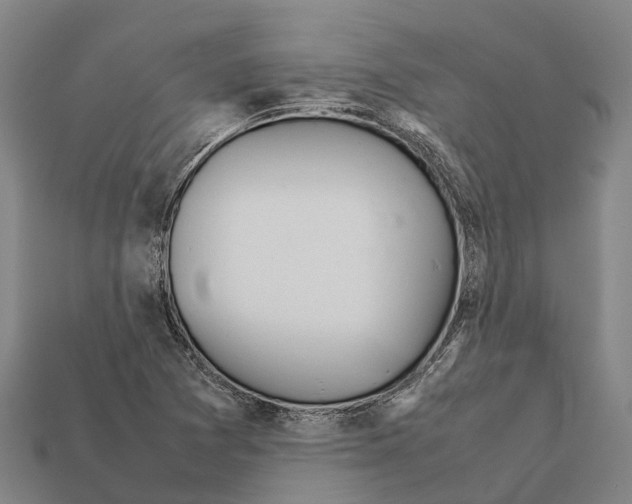 X0000111921361200909071209