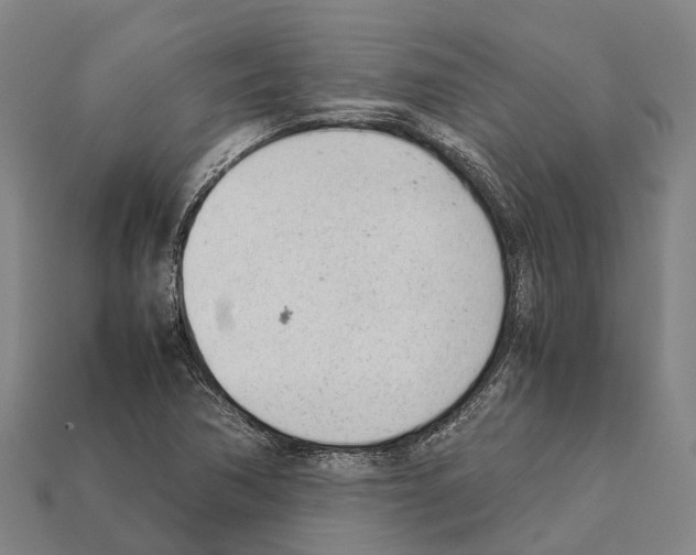 X0000111921362200909071209