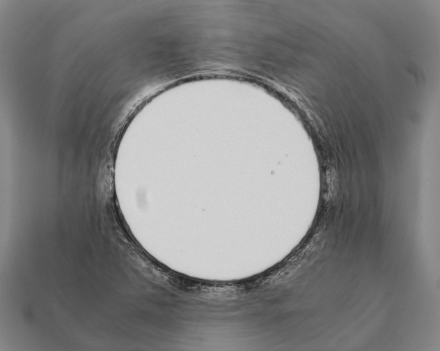 X0000111921363200909071209