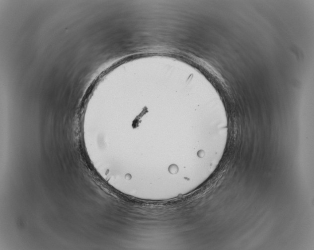 X0000111921364200909071209