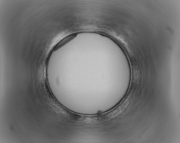 X0000111921365200909071209