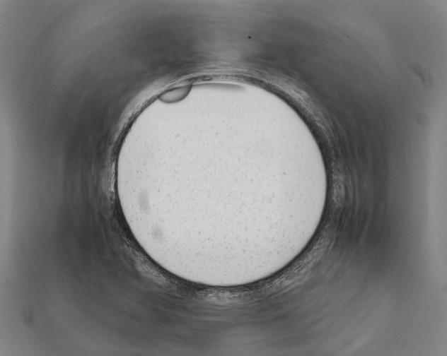 X0000111921366200909071209