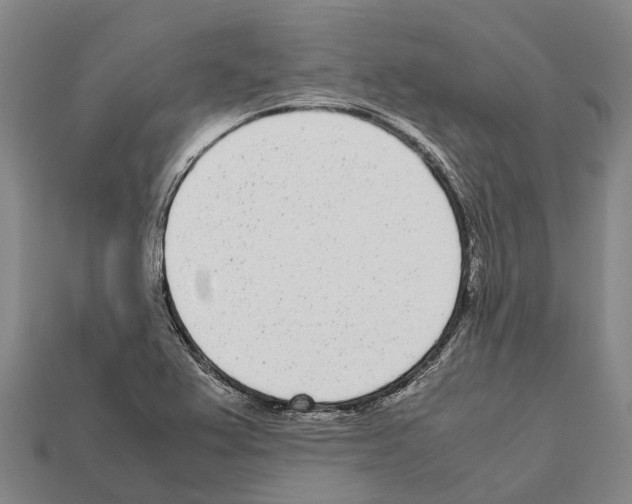 X0000111921367200909071208